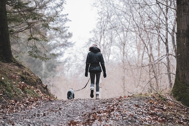 Wildlife Trails Florence: Sustaining Urban-Wildland Harmony Through Trail Management