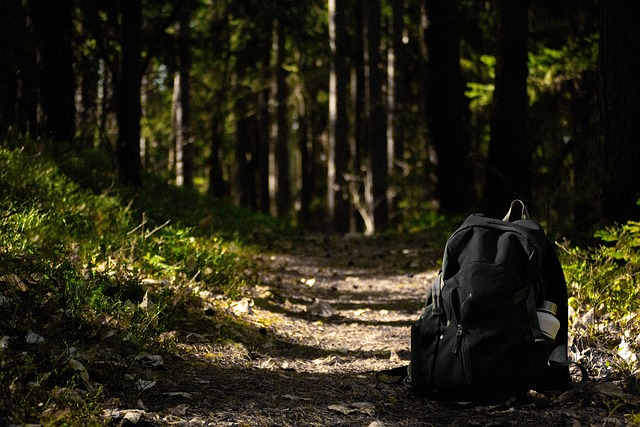 Unveiling Florence’s Hidden Gems: Wildlife Trails and Their Diversity