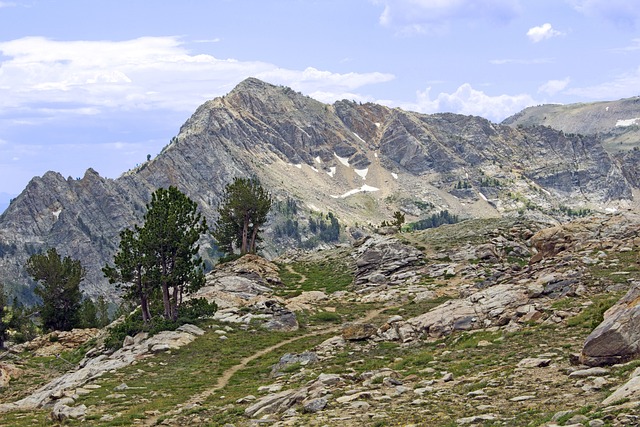 Discover Oregon’s Hidden Gems: Forest Trails Near Eugene for All Hikers