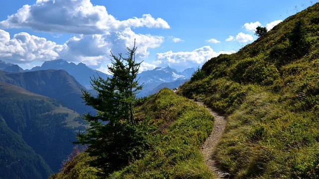 Family-Friendly Hikes Offer Stunning Sunset Views Near Eugene