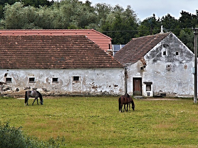 homesteads