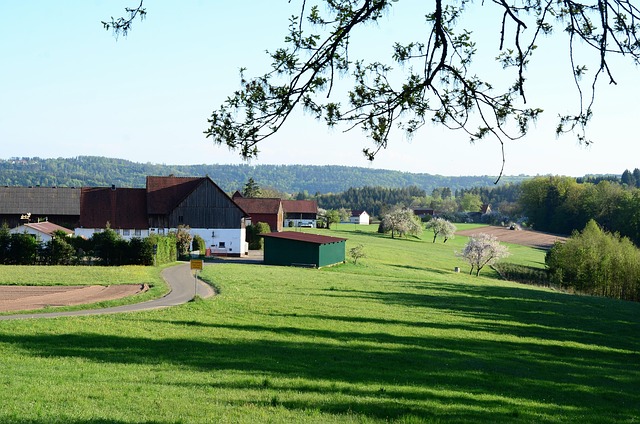 homesteads