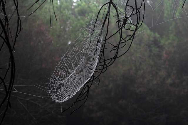 humidity