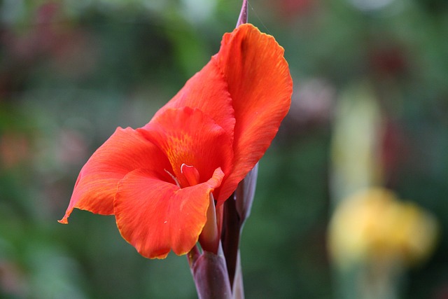 individual