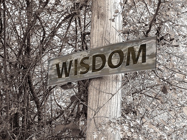 insights