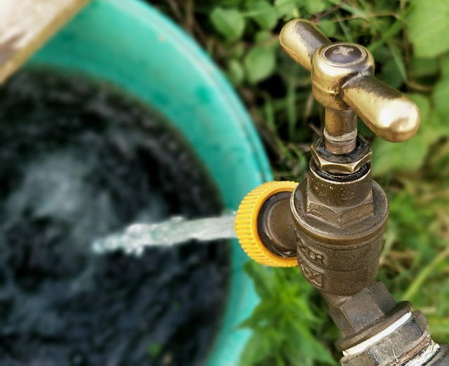 Professional Evaluations Uncover Hidden Mold: Prevention & Remediation Guide