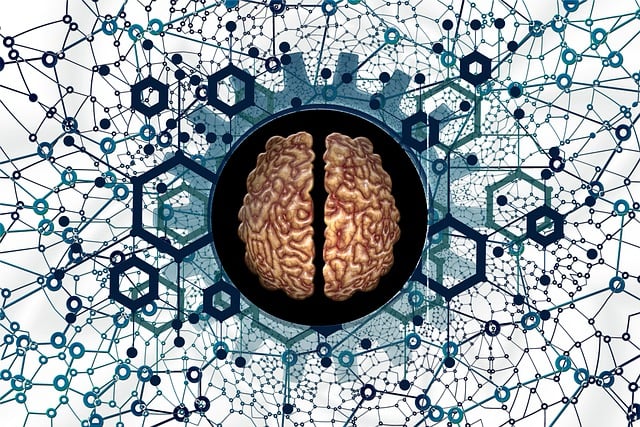 intelligent