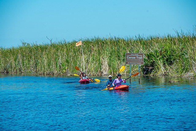 kayaking-water-paddleboard-adventure-lak-640x480-57981882.jpeg