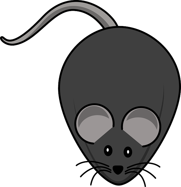 lab