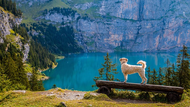 lakes