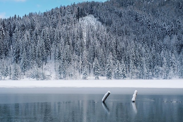 lakes