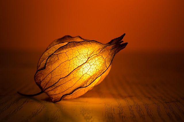 lamp