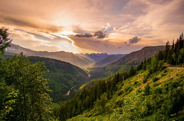 landscape