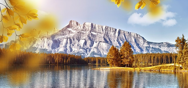 landscape