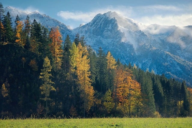 landscape