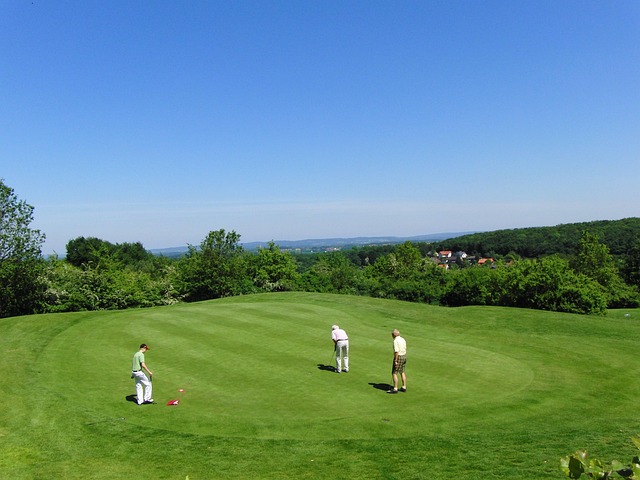 lawn-care-640x480-7239355.jpeg