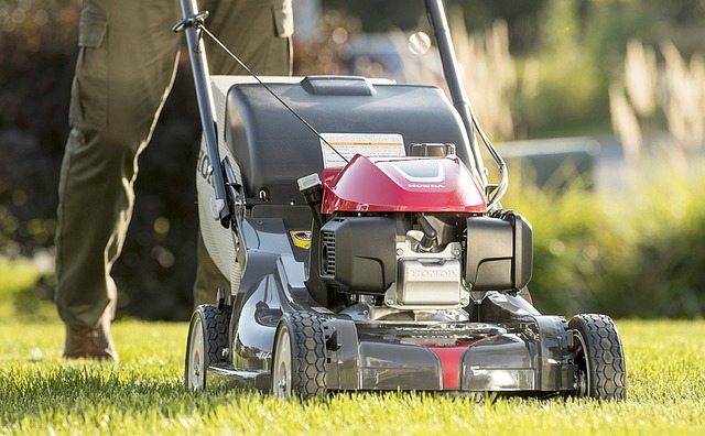 Lawn Care and Landscaping: Mastering Tree Trimming and Pruning Techniques