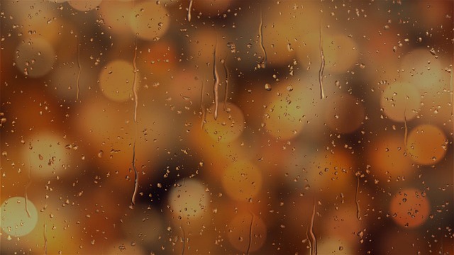 lights