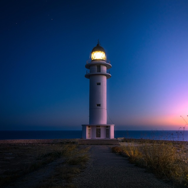 lights