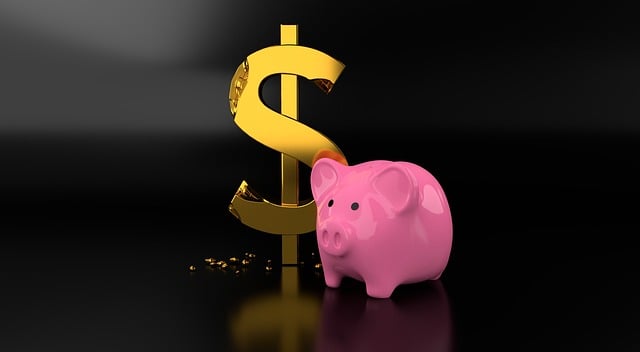 loans