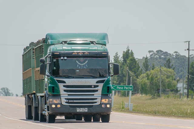 logging