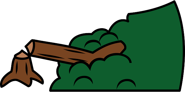 logging