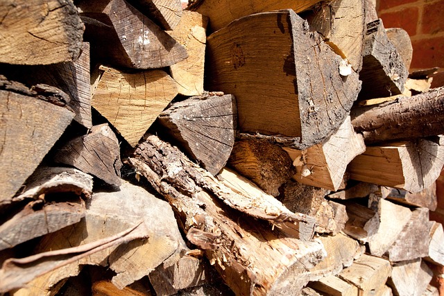 logging