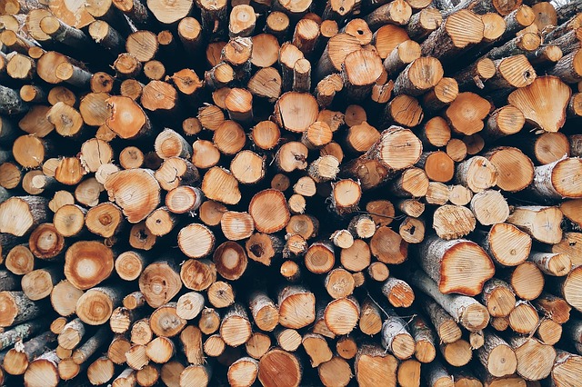 logging