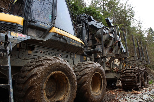 logging