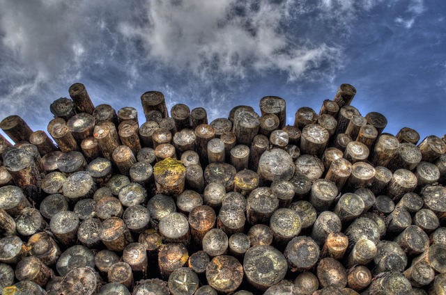 logging