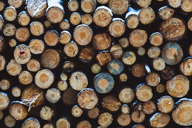 logging-timber-sawmills-forests-oregon-i-640x480-16687883.jpeg