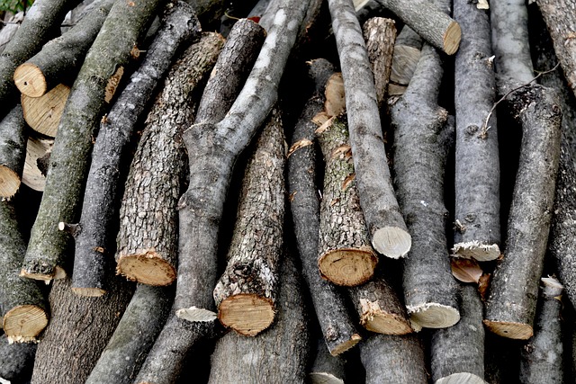 Lane County Oregon: Forest Management, Jobs, and Sustainable Timber Future