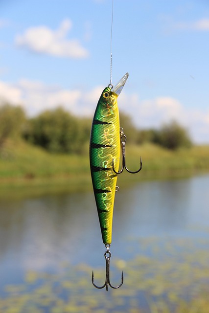McKenzie River Fishing Techniques: Club-Driven Traditions and Paradise Explored