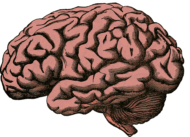 mental