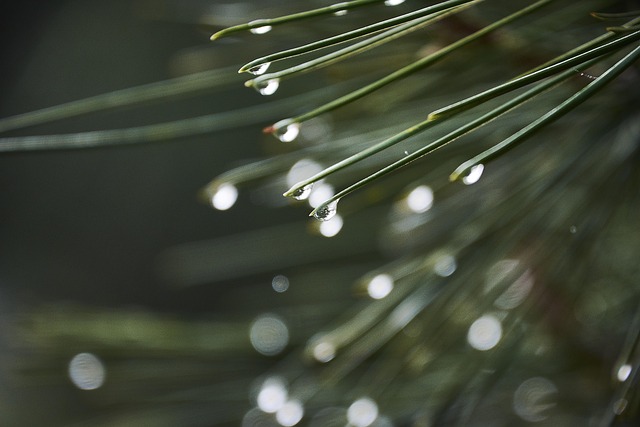 moisture