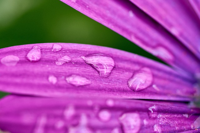 moisture