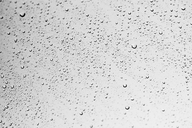 moisture