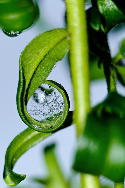 moisture