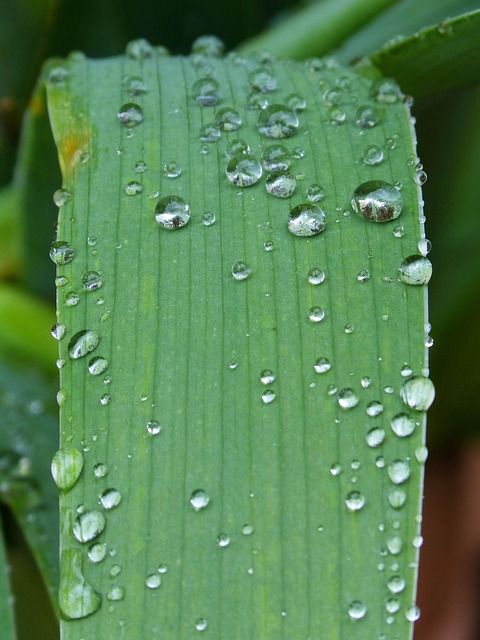moisture
