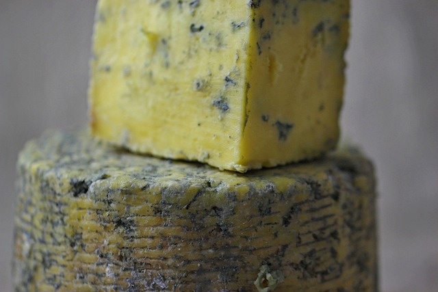 mold
