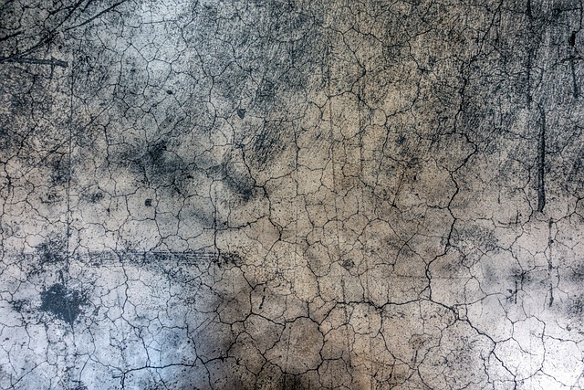mold-moisture-house-damage-fungus-walls-640x480-59449996.jpeg
