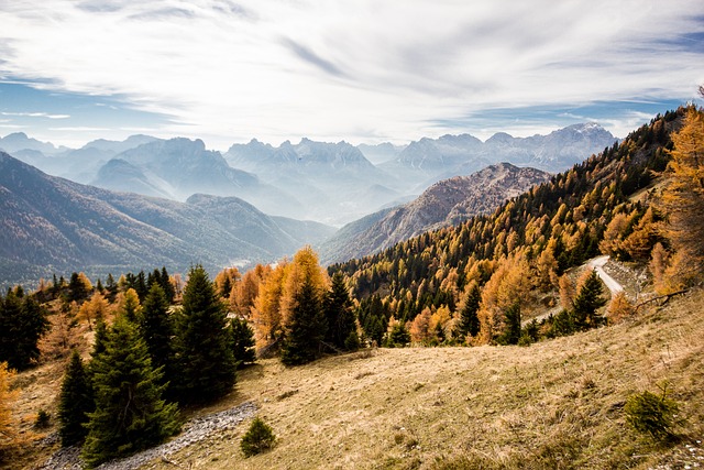 Mountains
