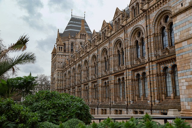 museum-640x480-77826698.jpeg