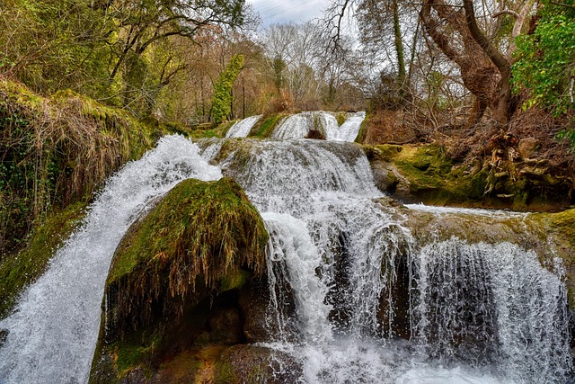 nature