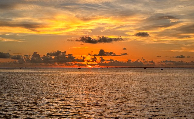 nature-640x480-4087063.jpeg