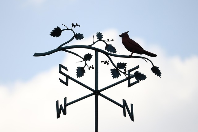 navigation