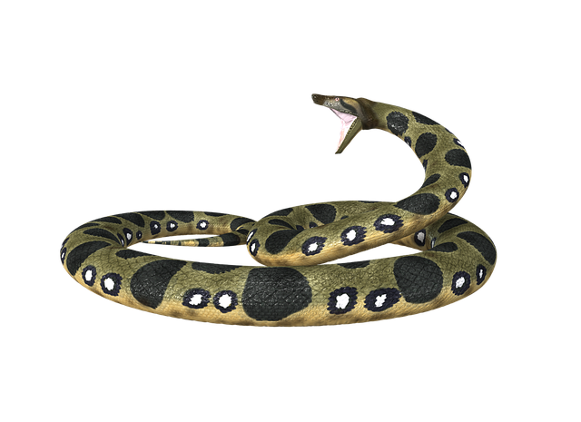 non-toxic-640x480-32189921.png