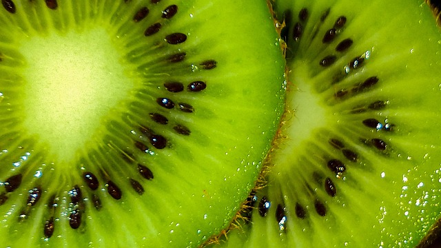 Senior Nutrition Advocacy in Eugene, Oregon: Ensuring Healthy Meals for All