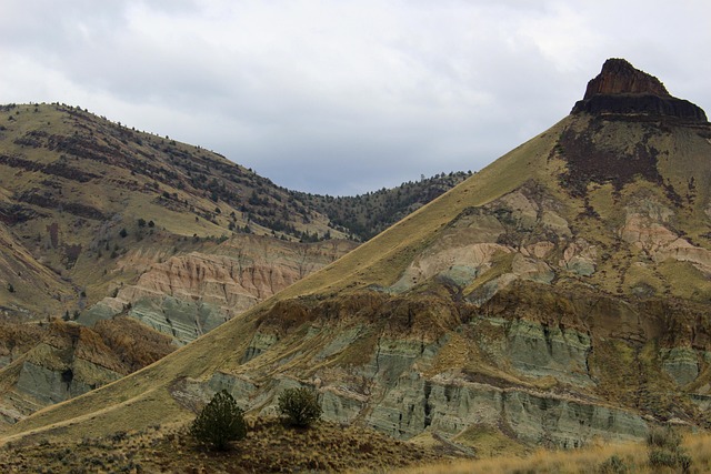 Oregon