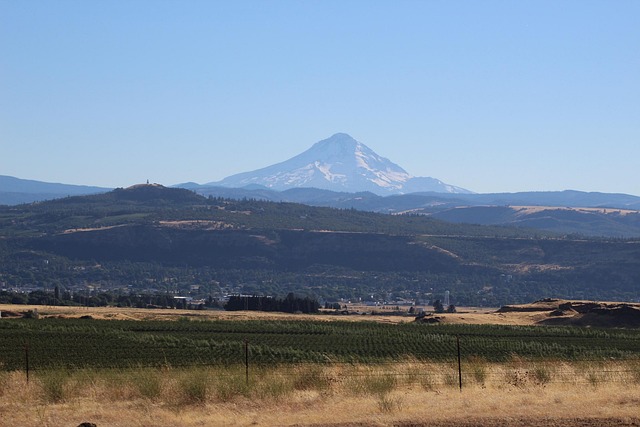 Oregon
